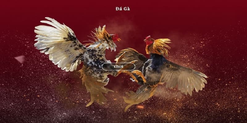 Hệ thống bảo mật và an toàn trong đá gà FM88